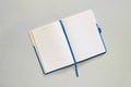 Open notebook or diary or textbook with lined blank pages on light grey background. Top view, copy space