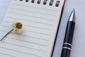 Open notebook with empty pages and small camomile flower on it and black pen. Business and beginning concept. Writing background. Royalty Free Stock Photo