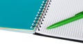 Open notebook with green pen Royalty Free Stock Photo