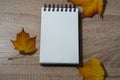 An open notebook lies on the table in a dry sheet, think and write down your thoughts