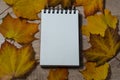 An open notebook lies on the table in a dry sheet, think and write down your thoughts