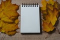 An open notebook lies on the table in a dry sheet, think and write down your thoughts