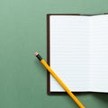 Open notebook and pencil on green background Royalty Free Stock Photo