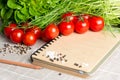 Open notebook with tomatoes, chives, spices