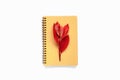 Open notepad with recycled pages and autumn red leaves. School o