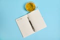 Flat lay of an open notepad with word Dear Diary and an ink pen next to a tea cup on blue background with copy space Royalty Free Stock Photo
