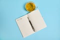 Flat lay of an open notepad with word Dear Diary and an ink pen next to a tea cup on blue background with copy space Royalty Free Stock Photo