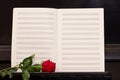 Open notes paper with red rose Royalty Free Stock Photo