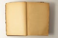 Open old book background. Royalty Free Stock Photo
