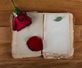 Open old book with blank pages for text and dry rose on wooden table Royalty Free Stock Photo