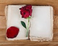 Open old book with blank pages for text and dry rose on wooden table Royalty Free Stock Photo