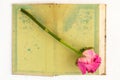 Open old book and dry rose Royalty Free Stock Photo
