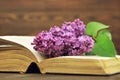 Open old book and flower Royalty Free Stock Photo