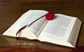Open old book with rose Royalty Free Stock Photo