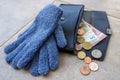 Purse with 5 euro note between winter gloves Royalty Free Stock Photo