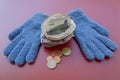 Purse with 5 euro note between winter gloves Royalty Free Stock Photo