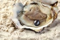 Open oyster with black pearl on sand, closeup Royalty Free Stock Photo