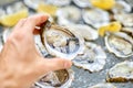 Open oyster in a male hand, against the background of open oysters