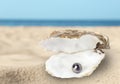 Open oyster shell with black pearl on sandy beach near sea Royalty Free Stock Photo