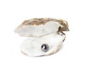 Open oyster shell with black pearl on white background Royalty Free Stock Photo