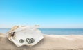 Open oyster shell with black pearls on sandy beach near sea. Space for text Royalty Free Stock Photo