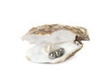 Open oyster shell with different pearls on white background Royalty Free Stock Photo
