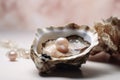 Open oyster shell sea pearl. Generate Ai Royalty Free Stock Photo