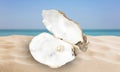 Open oyster shell with white pearl on sandy beach near sea Royalty Free Stock Photo