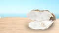 Open oyster shell with white pearl on sandy beach near sea. Space for text Royalty Free Stock Photo