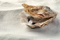 Open oyster with white pearl on sand