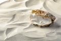 Open oyster with white pearl on sand, space for text Royalty Free Stock Photo