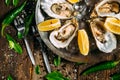 Open oysters with lemon ice in a metal plate on a wooden table with decorative elements, fork, leaves, pepper Royalty Free Stock Photo