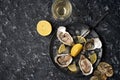 Open oysters with lemon wedges, crushed ice on a black dish on a dark stone background with oyster shells with a glass of champagn