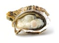 Open oysters