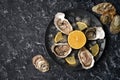 Open oysters with slices of lemon, crushed ice on a black dish on a dark stone background with oyster shells. Top view Royalty Free Stock Photo