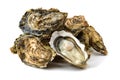 Open oysters