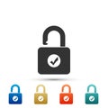 Open padlock and check mark icon isolated on white background. Security check lock sign. Set elements in colored icons Royalty Free Stock Photo