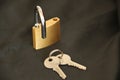 Open Padlock and Key