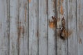 Open padlock on wooden garage door Royalty Free Stock Photo