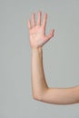 Open palm of a female hand o gray background Royalty Free Stock Photo