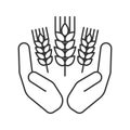 Open palms with wheat ears linear icon Royalty Free Stock Photo