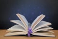 Open paper book with magic glow, concept of magic, on a wooden table, a sprig of lilac lavender instead of a bookmark, horizontal