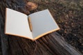 Open paper diary with a fountain pen on an old tree