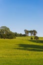 The open parkland of Dallam Park on a sunny evening Milnthorpe, Cumbria, England