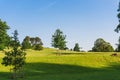 The open parkland of Dallam Park on a sunny evening Milnthorpe, Cumbria, England