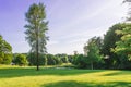 The open parkland of Dallam Park on a sunny evening Milnthorpe, Cumbria, England