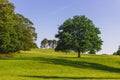 The open parkland of Dallam Park on a sunny evening Milnthorpe, Cumbria, England