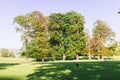 The open parkland of Dallam Park on a sunny evening Milnthorpe, Cumbria, England