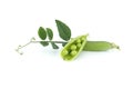 Open pea pod and round green peas inside on white Royalty Free Stock Photo