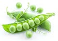 Open pea pod. Royalty Free Stock Photo